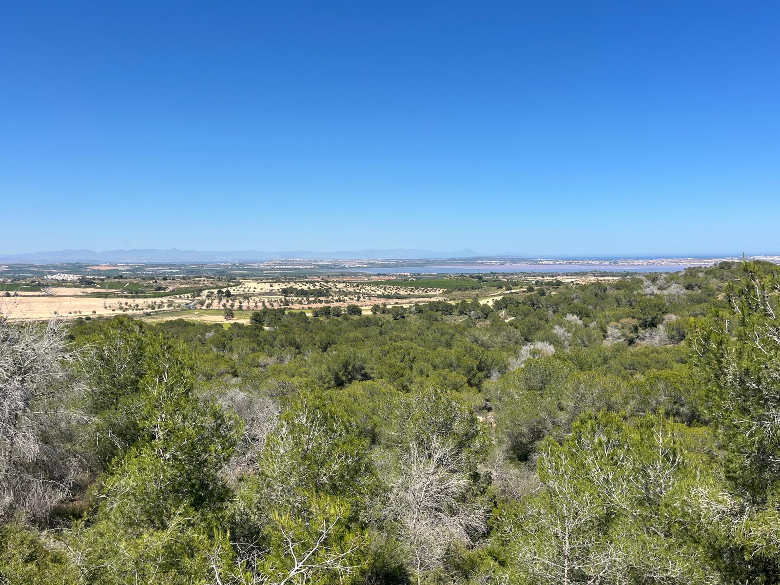 Bungalow Villamartin/San Miguel de Salinas — 5
